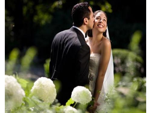 Momentos capturados por un profesional