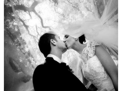 Abel aranda fotográfo