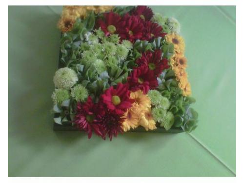 Arreglos florales coloridos