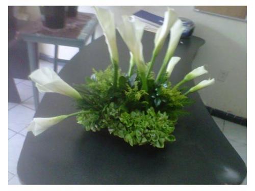 Centro de mesa con alcatraces