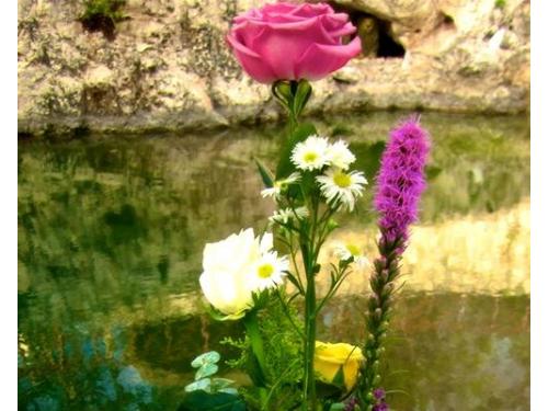 Rodeado por naturaleza