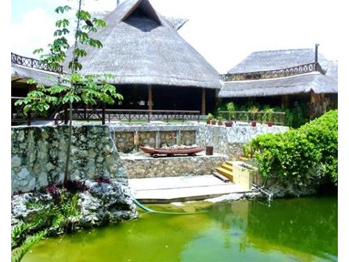 Instalaciones impactantes y románticas