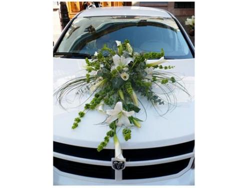 Variedad de diseños florales