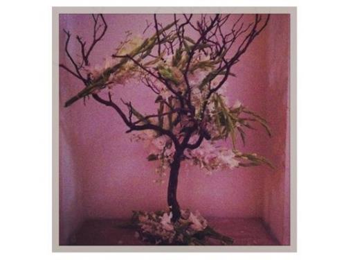 Arreglos minimalistas