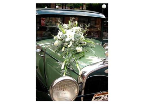 Decoración de autos