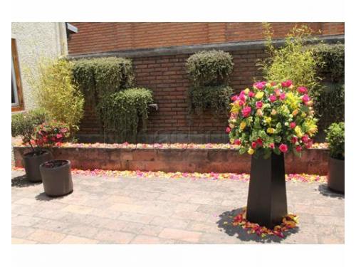 Arreglos florales coloridos