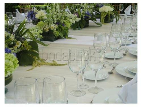 Cristalería y vajilla fina