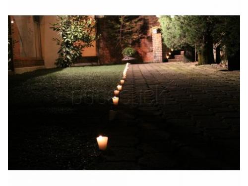 Iluminan tu camino al salón