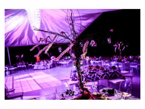 Organizadores de bodas y eventos