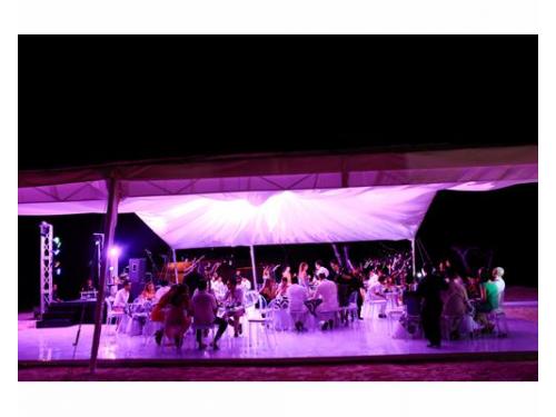 El mejor ambiente en tu boda