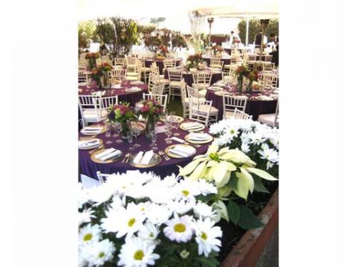 Vista panorámica del montaje