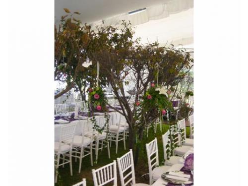 Decoración con árboles