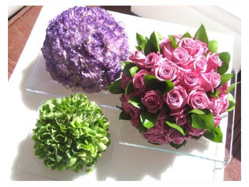 Elige las flores para tu decoración