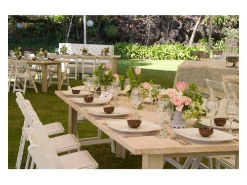 Platos hechos de cocos