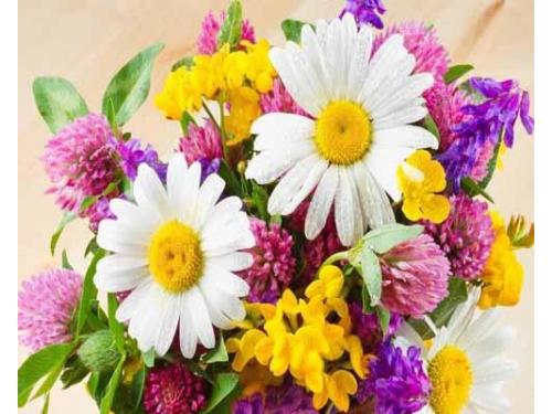 Detalles con calidad