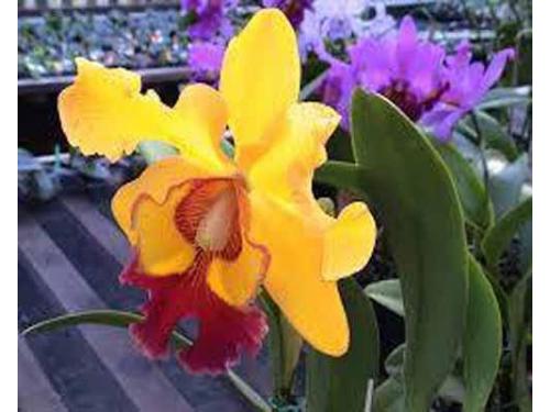 Cuidan la imagen de tu fiesta