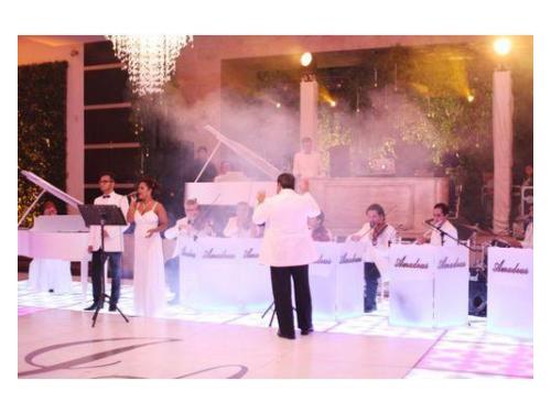 Orquesta amadeus tema white