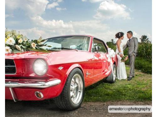 Fotografías únicas