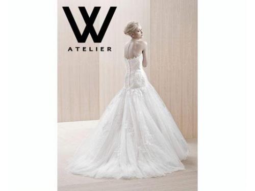 Modelo elista espalda