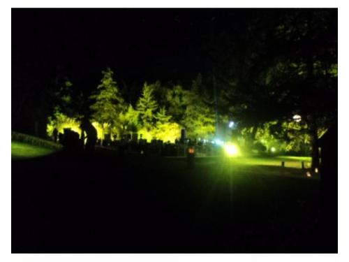 Iluminación en el jardín