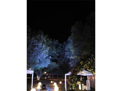 Iluminación de camino