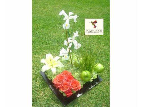 Centro de iris blancos y manznas