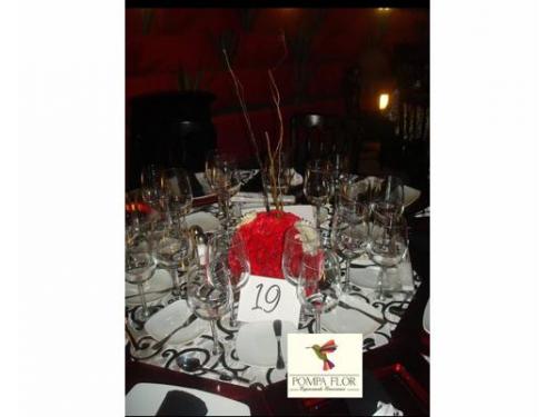 Clavel rojo con espejo