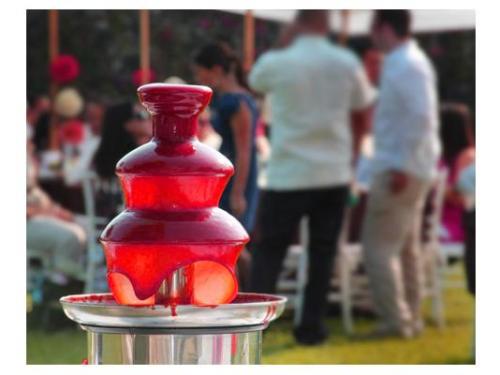 Capturan cada detalle de tu boda