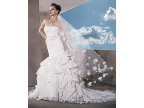 Vestido con gran acompañamiento