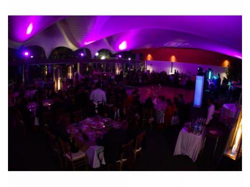 Celebrando y bailando