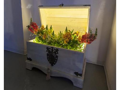 Elementos decorativos