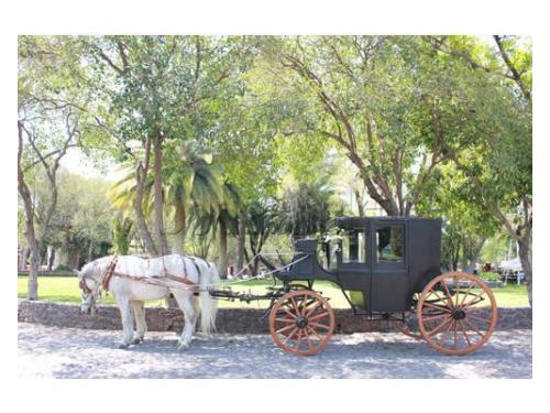 Romántica carroza para llegar a tu boda
