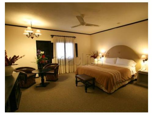 Habitación con una sola cama