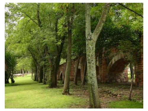 Bellos jardines con arcos