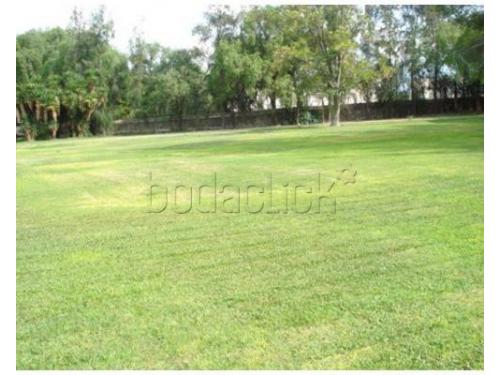 Hermoso jardín para bodas