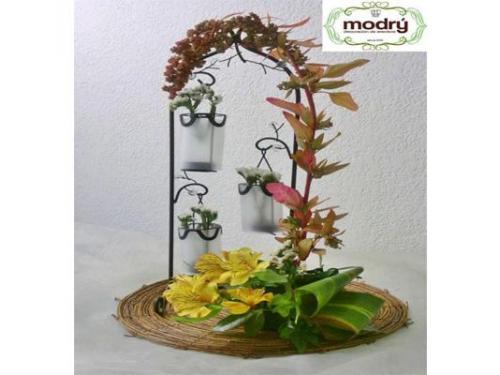 Modry tienen las mejores ideas