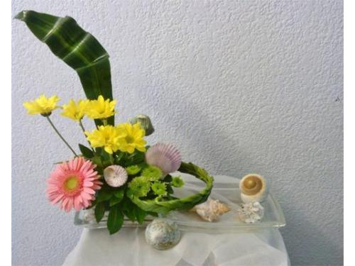 Variedad de arreglos