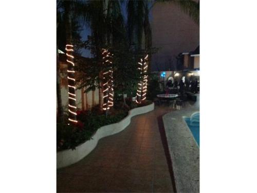 Hermosa vista del jardín