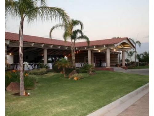 Jardines decorados con palmeras