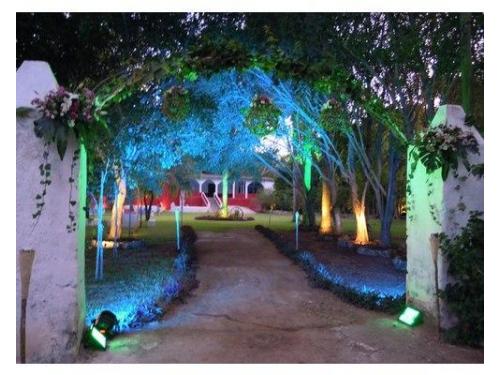 Entrada a jardines con iluminacion personalizada