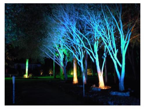 Entrada con iluminacion personalizada