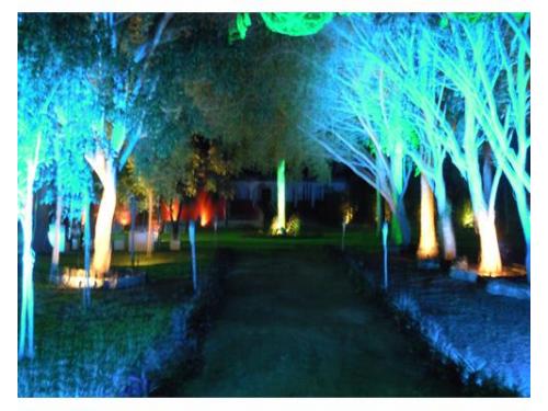 Entrada con luz personalizada