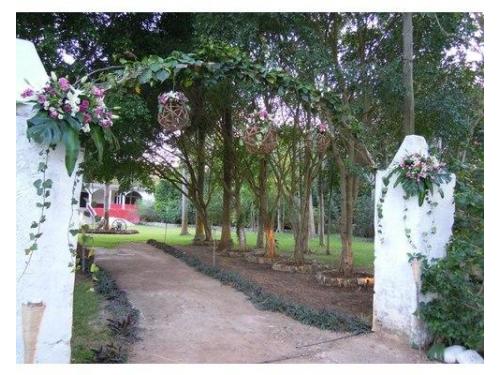 Entrada jardin principal