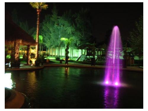 Toda una experiencia