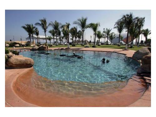 Alberca a tu servicio