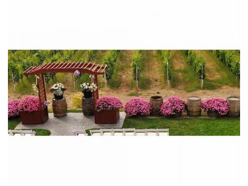 Montaje para ceremonia al aire libre