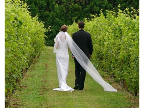 Los mejores recintos