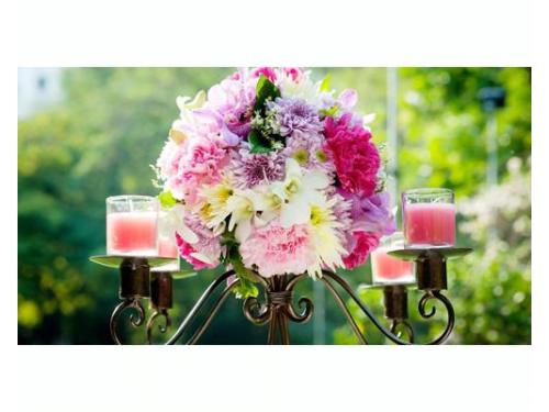 Expertos en decoración