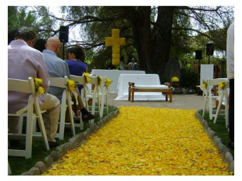 Alfombra de flores