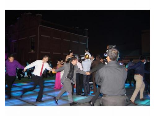 La víbora de la mar